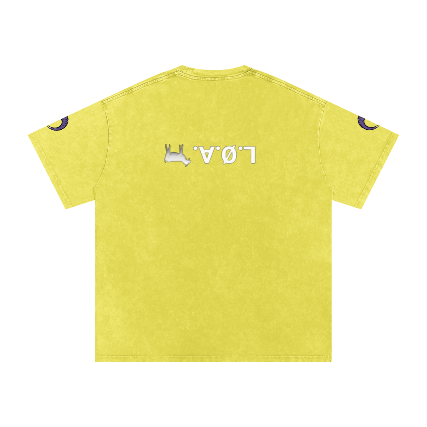 Snow Washed Oversized Cotton T-Shirt
